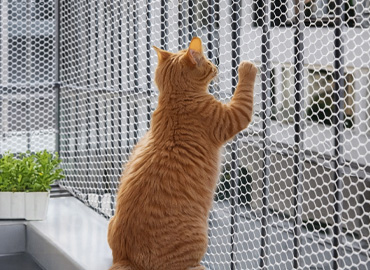 Evcil Hayvan Güvenlik Filesi